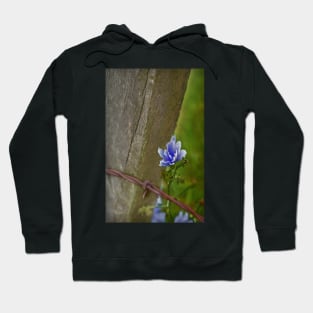 cornflower blue 'n' barb Hoodie